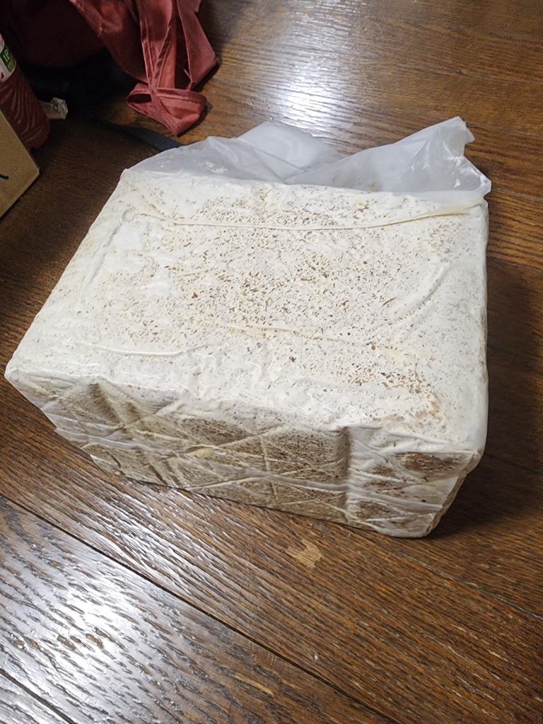 昆虫飼育用具セット 菌糸ブロック崩し 産卵木 ノギス スケールなど 昆虫飼育用具セット 菌糸ブロック崩し 産卵木 ノギス スケールなど