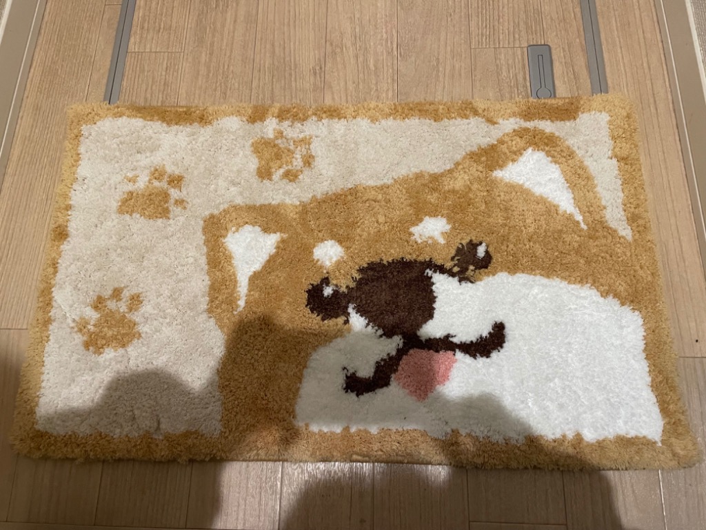 バスプロショップス　玄関マット バスプロショップス 玄関マット