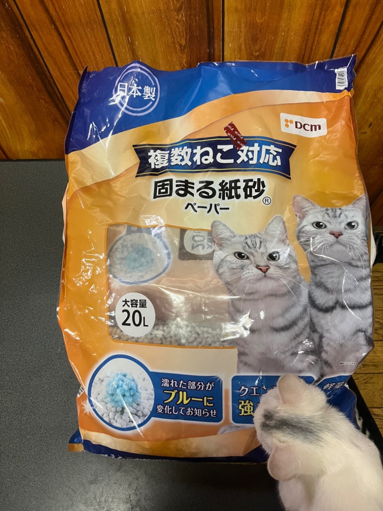 DCM 【ケース販売】複数ねこ対応猫砂 固まる紙砂ペーパー 20L×3袋