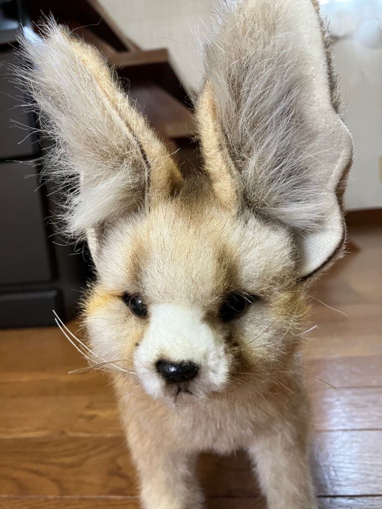 HANSA BH7239 フェネック ふぇねっく きつね キツネ 狐 ぬいぐるみ