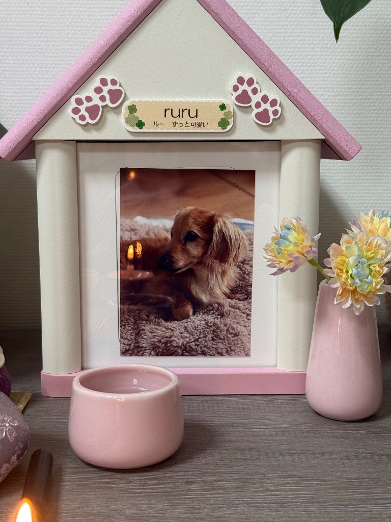 全体のレビュー画像 | 0-0