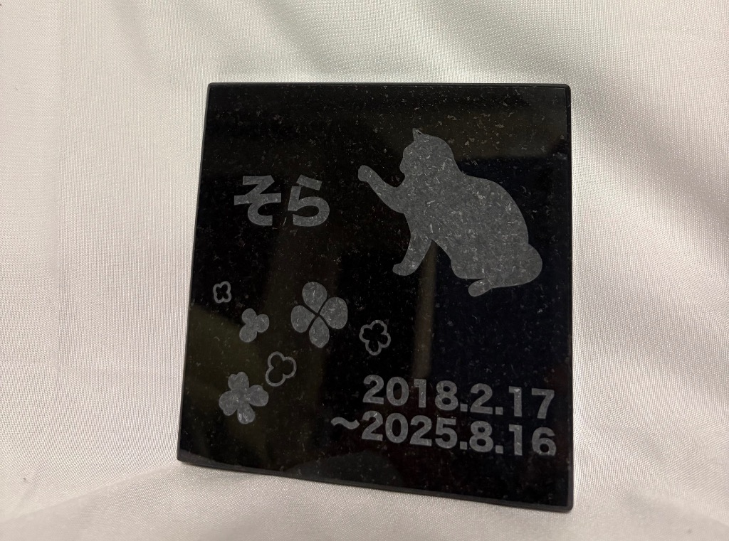1件目のレビュー画像 | 0