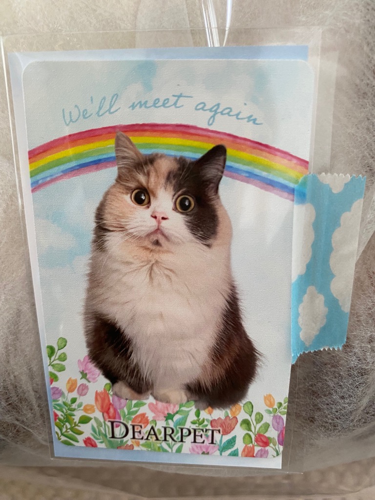 全体のレビュー画像 | 7-1