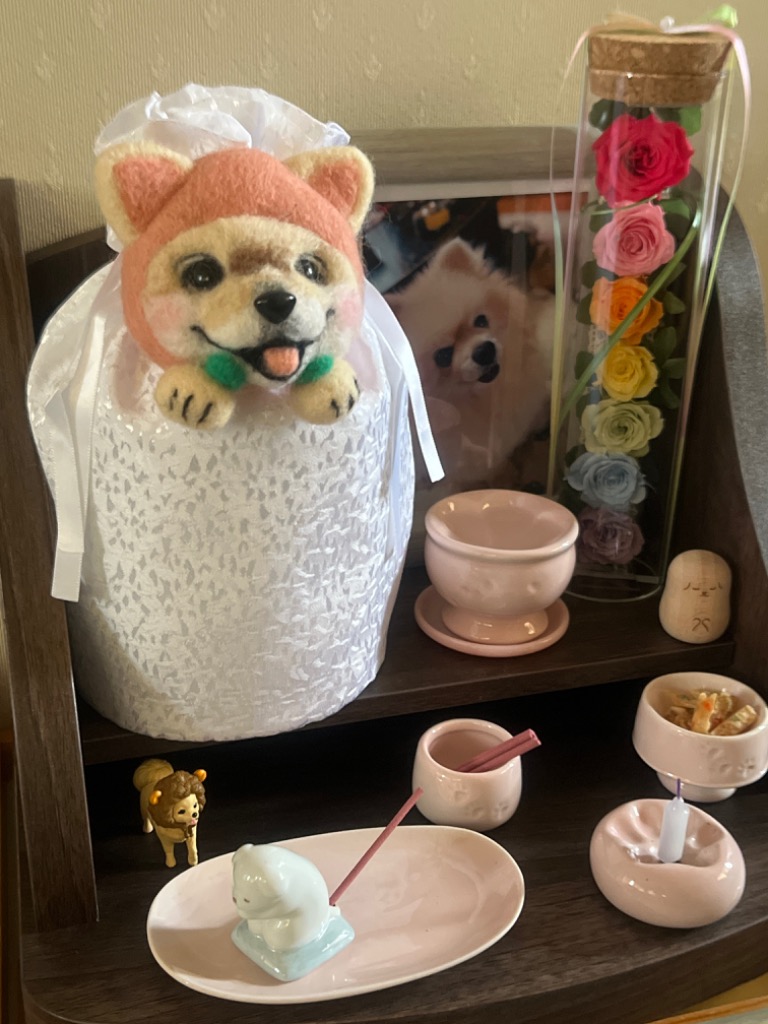 9件目のレビュー画像 | 2