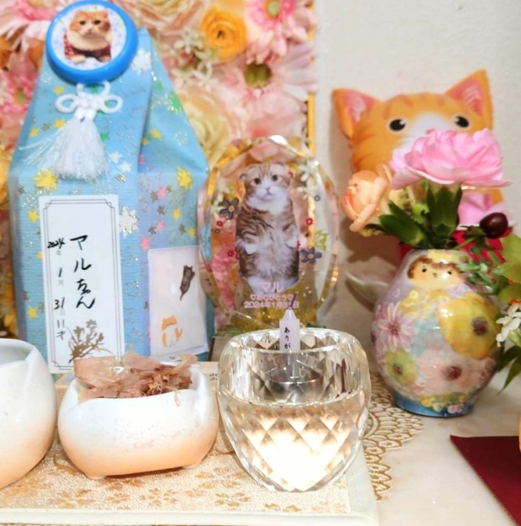 5件目のレビュー画像 | 0