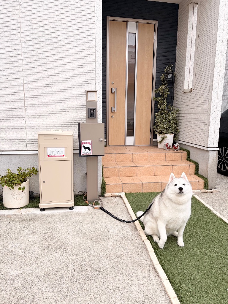 全体のレビュー画像 | 1-0