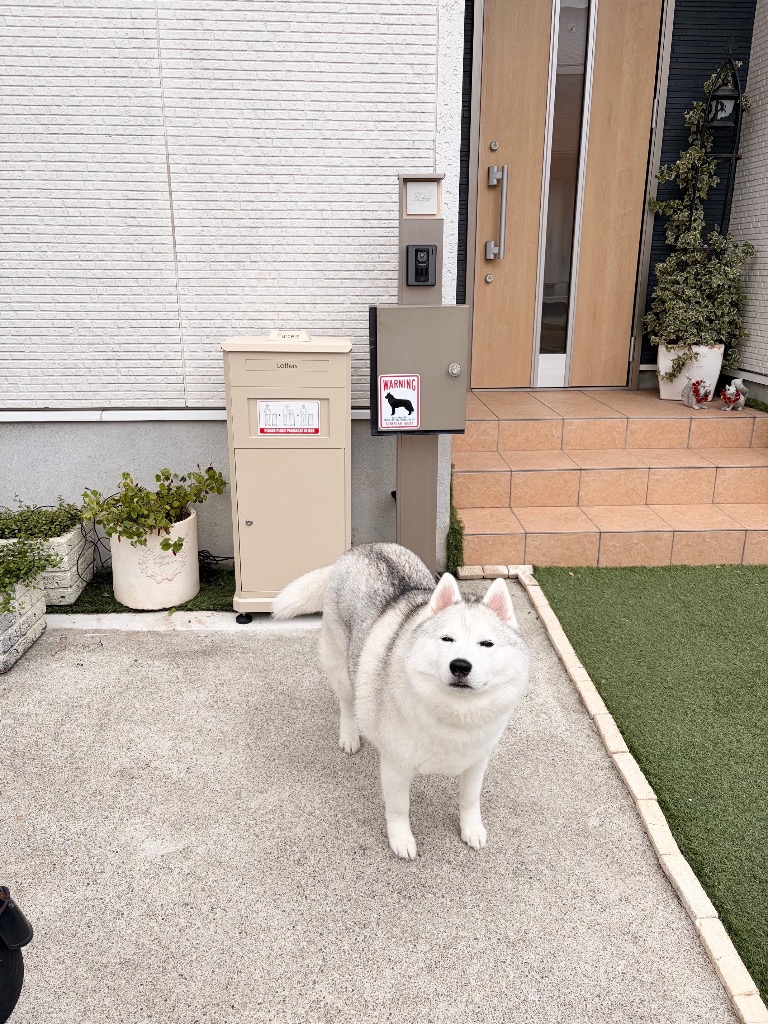 全体のレビュー画像 | 1-3