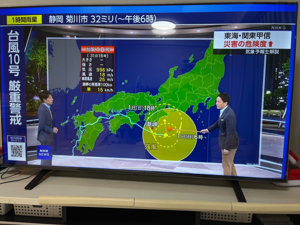 テレビ保護パネル 65型 65インチ クリアパネル テレビガード