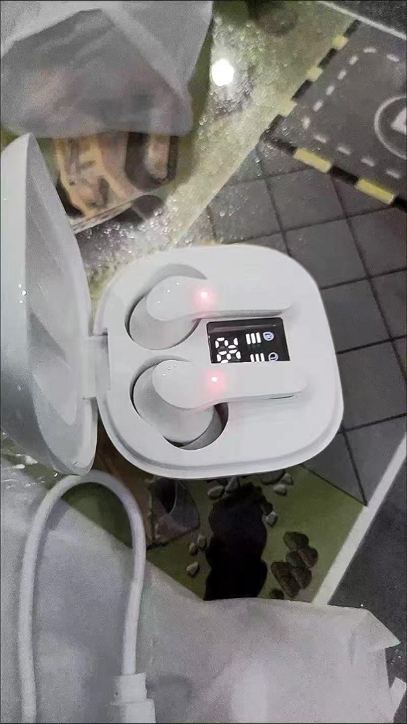 レビュー画像