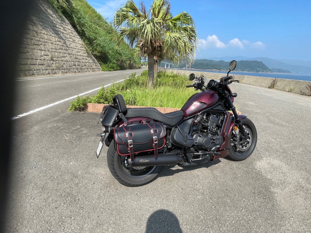 DEGNER デグナー ハーレー バイク 鉄馬 合皮 サイドバッグ