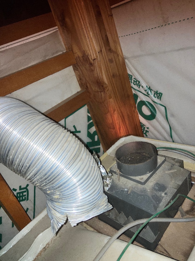 2件目のレビュー画像 | 2