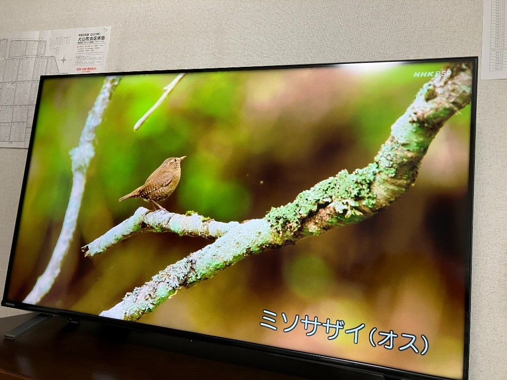 東芝 TOSHIBA 4Kチューナー内蔵 液晶テレビ レグザ REGZA 50V型 