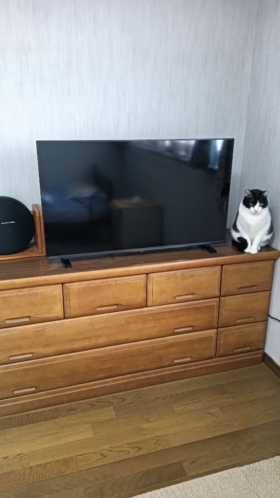 REGZA レグザ 40V型液晶TV 40V35N (宅配サイズ商品 / 設置