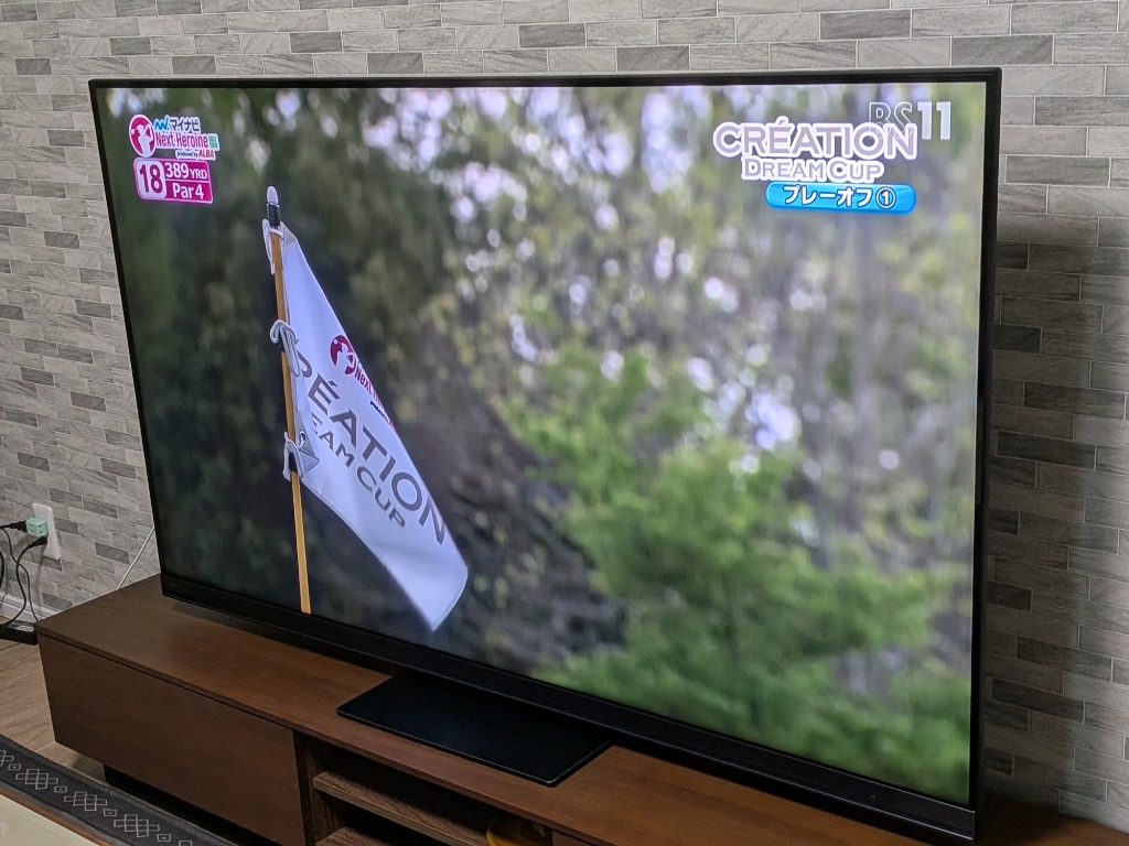 REGZA（レグザ） REGZA 4K液晶テレビ 65V型 MiniLED+量子ドット