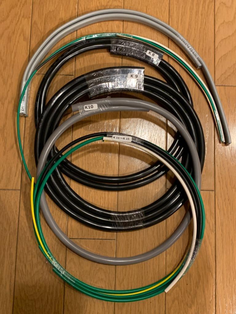第一種電気工事士 技能試験 セット S 2025 全10問対応 電線1回分