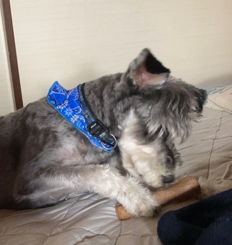 レビュー画像