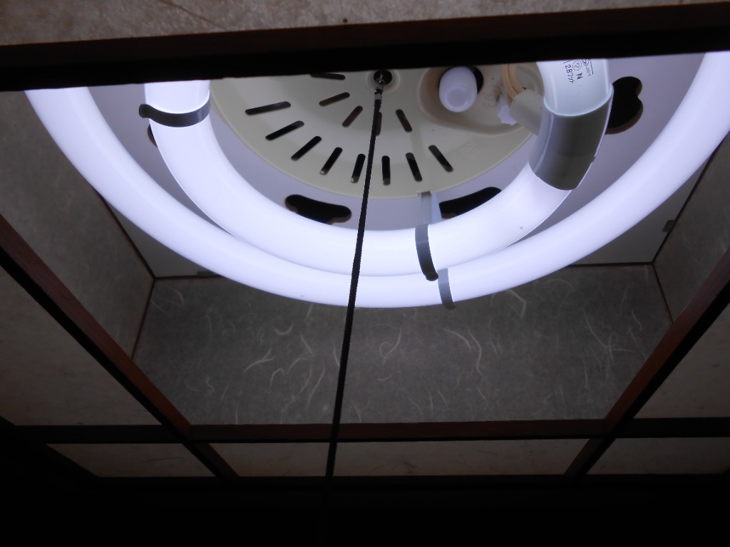 1件目のレビュー画像 | 1