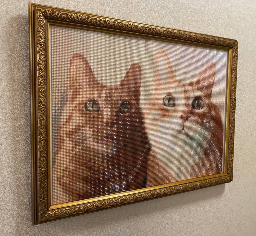 レビュー画像
