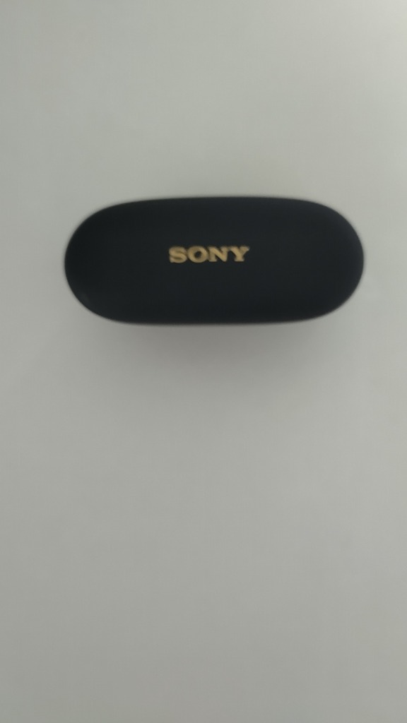 SONY - SONY WF-1000XM5 ワイヤレスイヤホン　ブラック WF-1000XM5 | ヘッドホン | ソニー