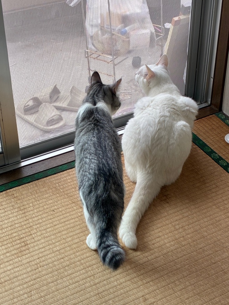 4件目のレビュー画像 | 0