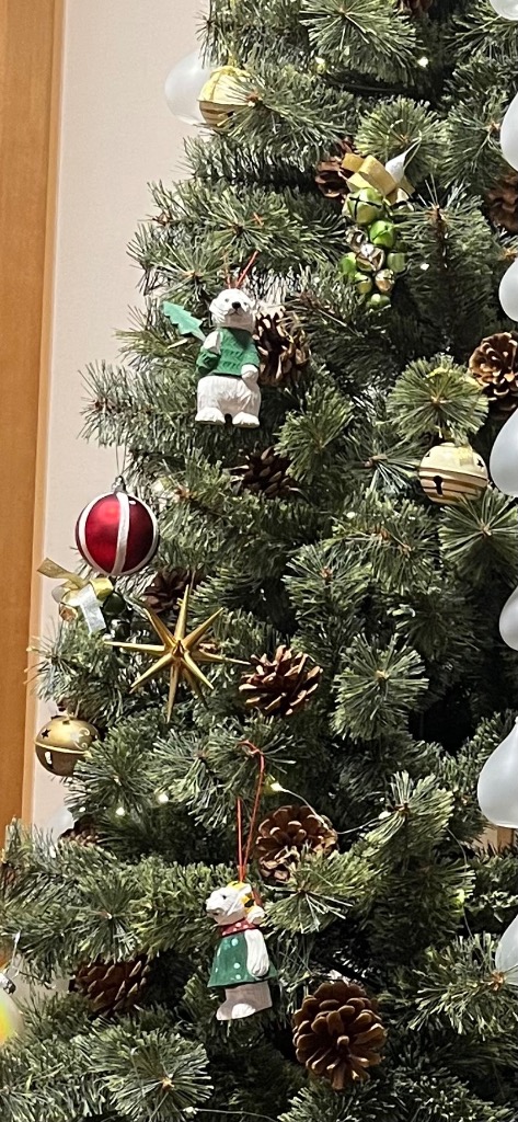 全体のレビュー画像 | 5-0