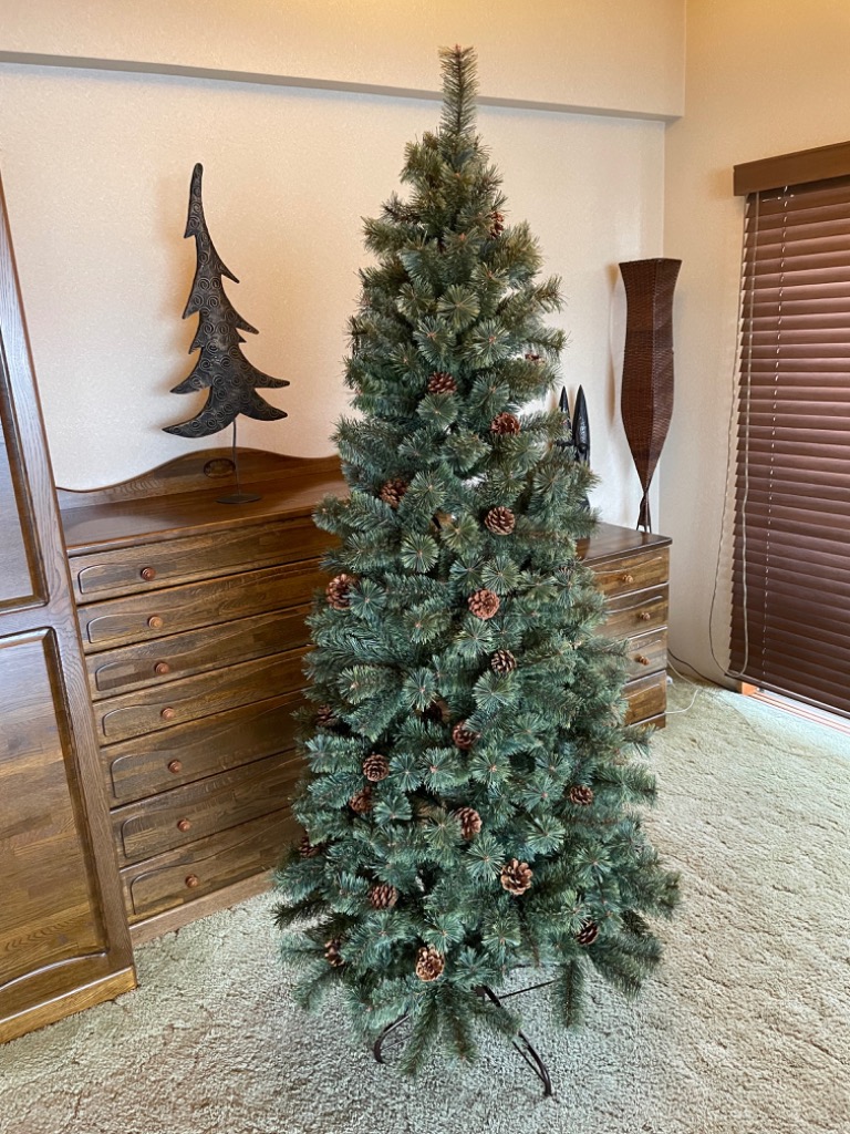 全体のレビュー画像 | 13-0