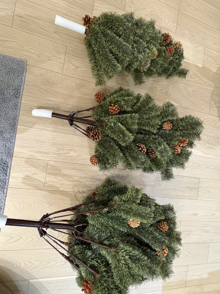 全体のレビュー画像 | 1-0