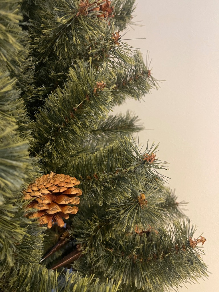 全体のレビュー画像 | 0-0