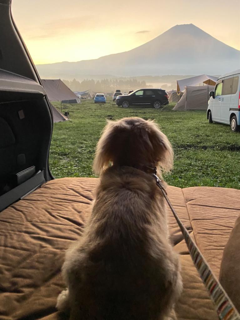 全体のレビュー画像 | 0-0