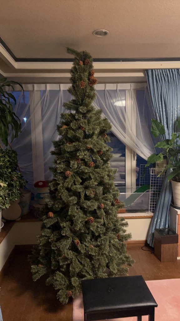 5件目のレビュー画像 | 0