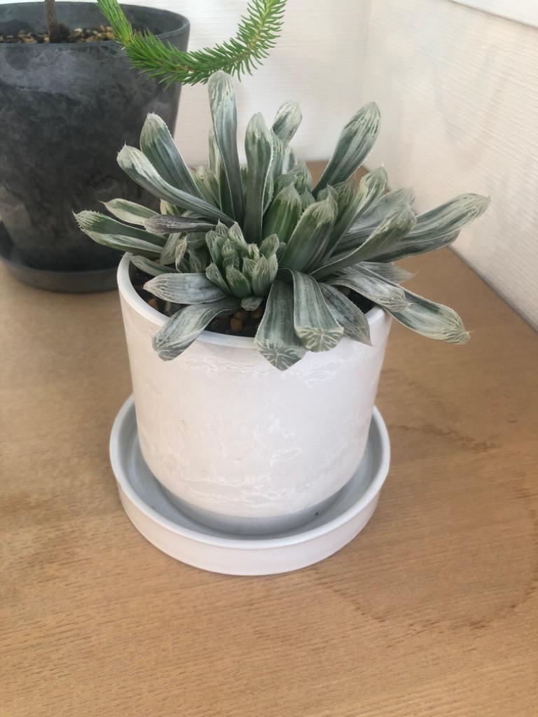 1件目のレビュー画像 | 0