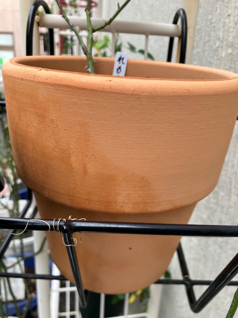 1件目のレビュー画像 | 0