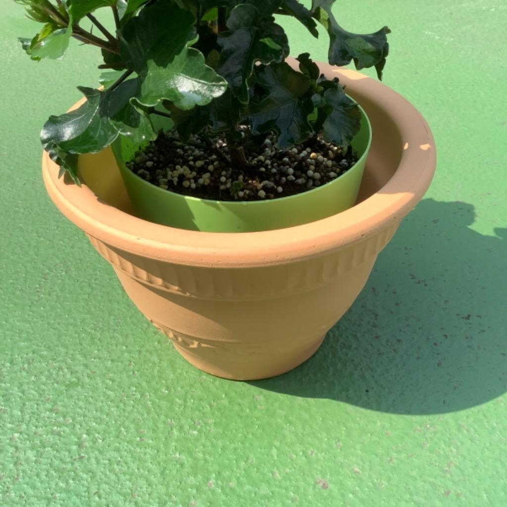 1件目のレビュー画像 | 2