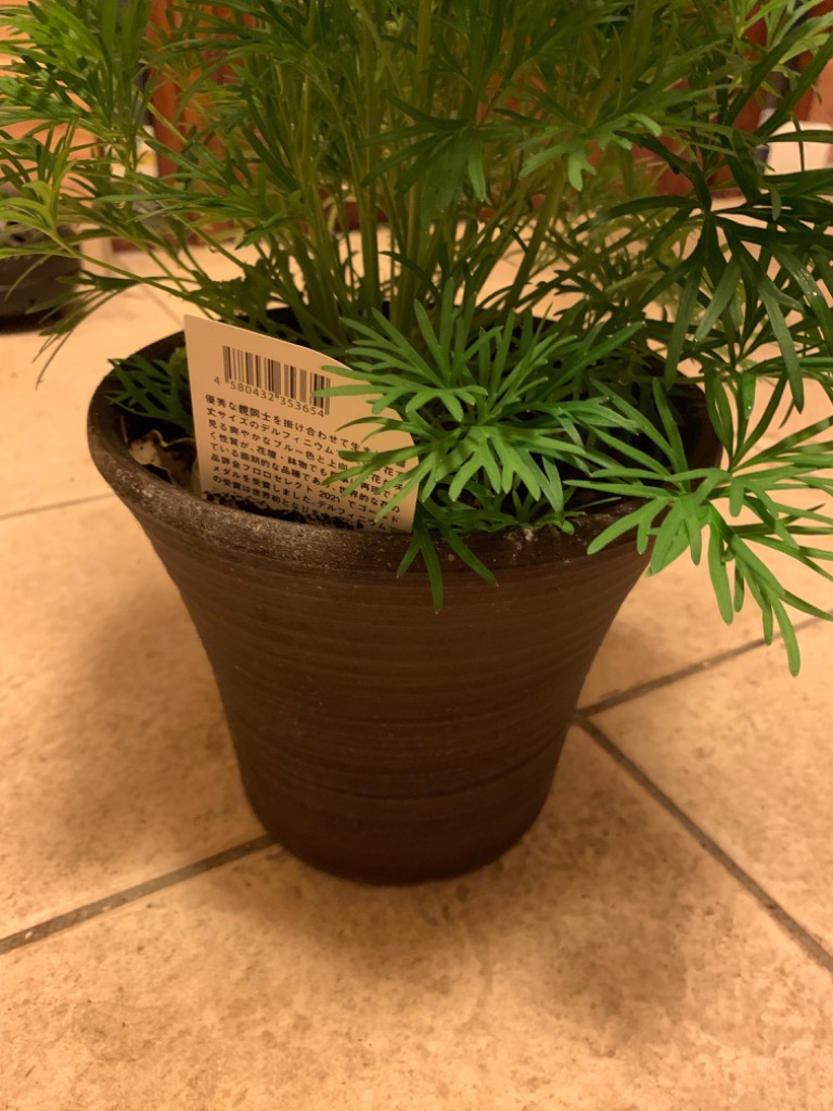 1件目のレビュー画像 | 0