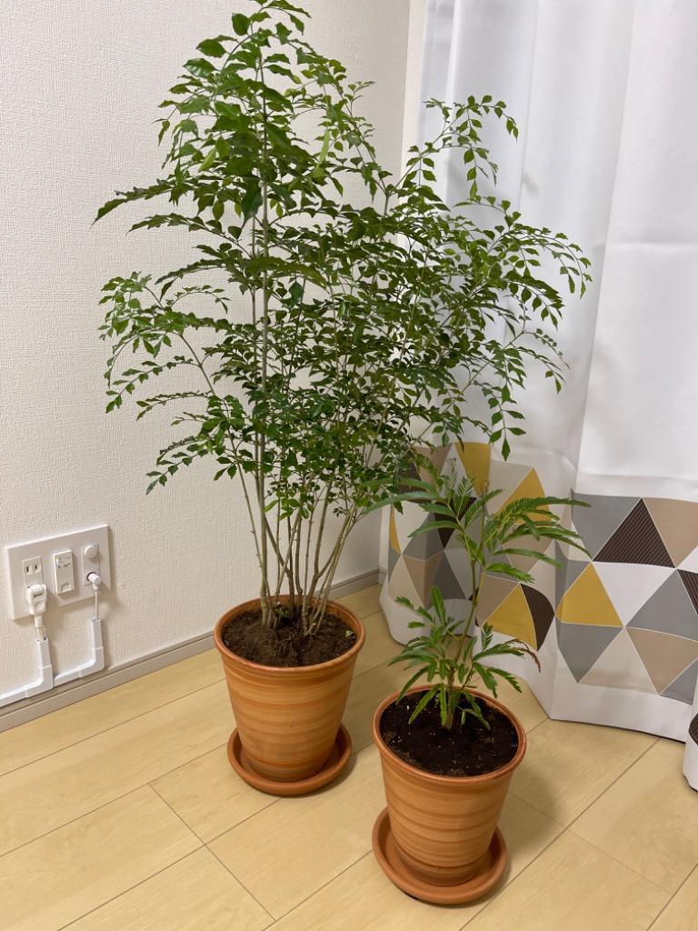 1件目のレビュー画像 | 0