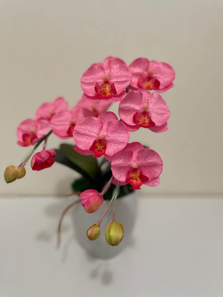 1件目のレビュー画像 | 1