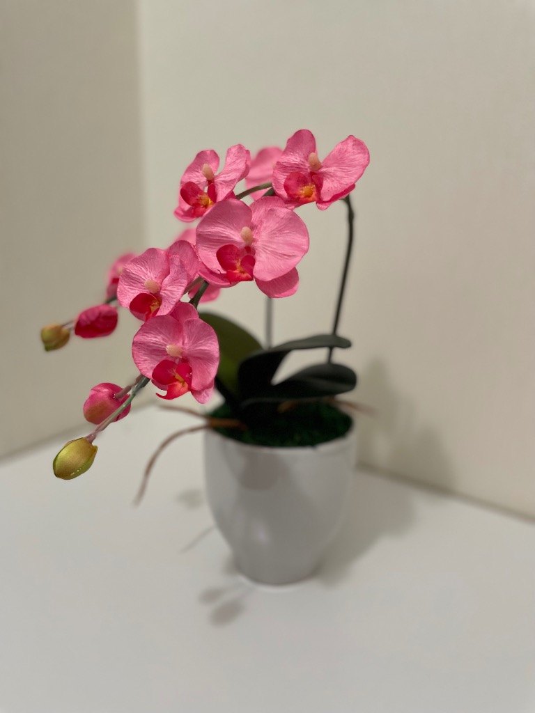 1件目のレビュー画像 | 0