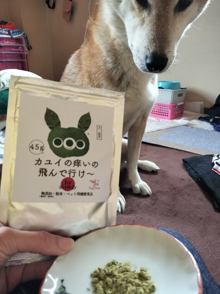 ドッグダイナー 犬 猫用 アレルギー サプリ 皮膚炎 痒みに ドッグダイナー 犬 猫用 アレルギー サプリ 皮膚炎 痒みに
