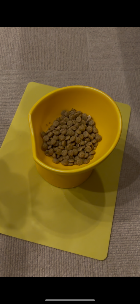 K9ナチュラル フリーズドライ ラム＆キングサーモン 500g
