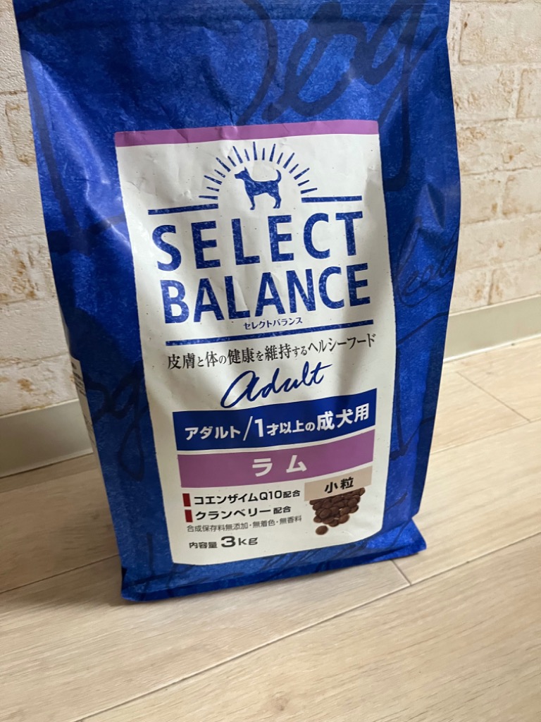 SELECT BALANCE (2個セットでクーポン利用可)セレクトバランス