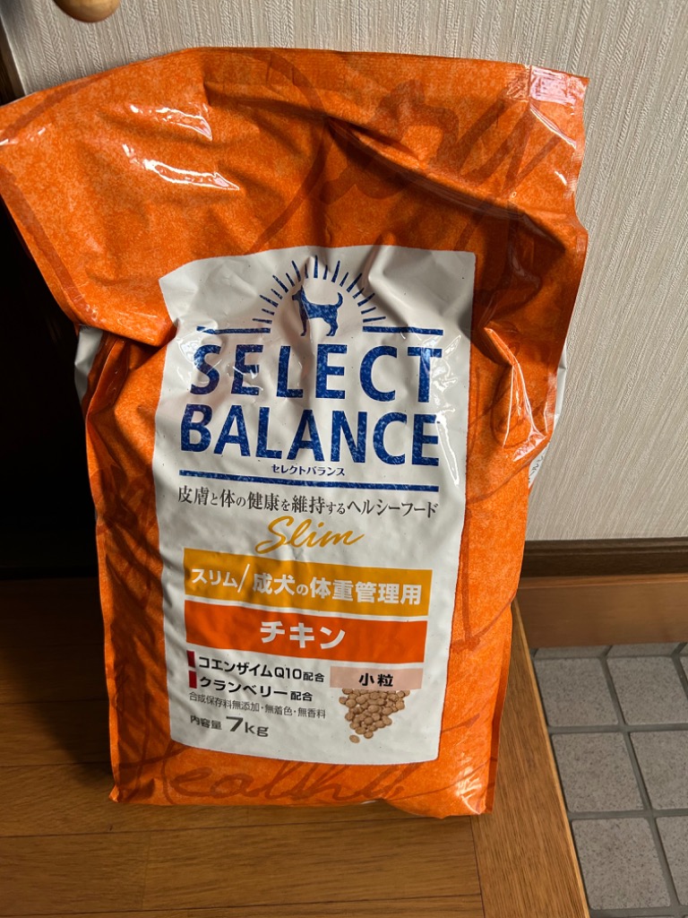 SELECT BALANCE (2個セットでクーポン利用可)セレクトバランス