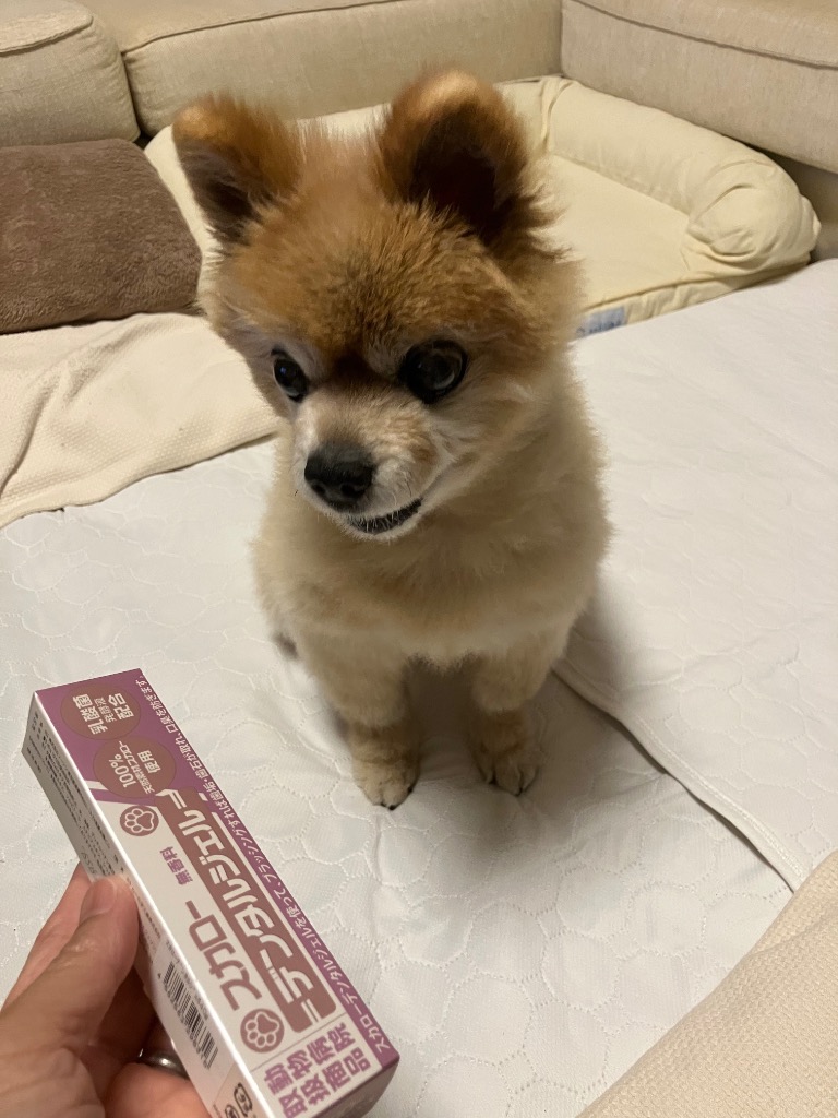 1件目のレビュー画像 | 0