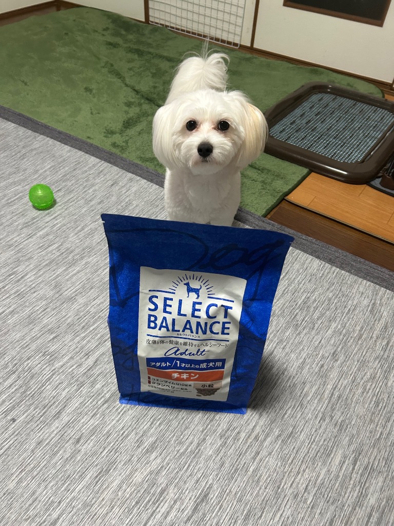 SELECT BALANCE (選べるプレゼント付き)セレクトバランス