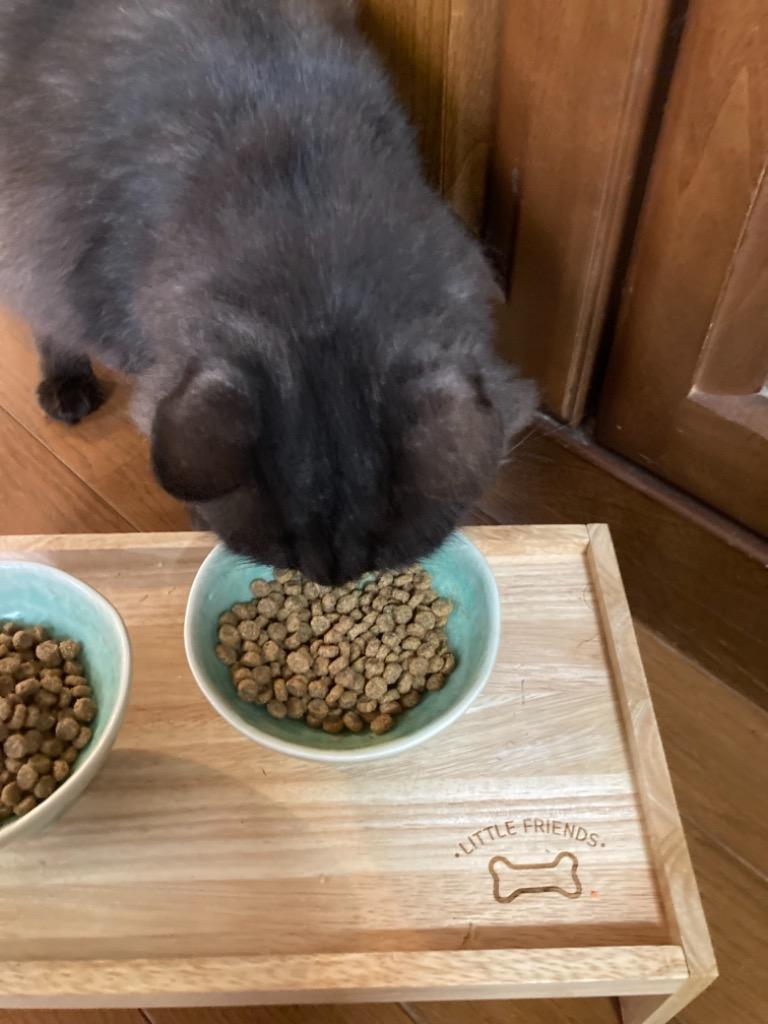 BLISMIX (選べるプレゼント付き) ブリスミックス 猫用チキン 6kg