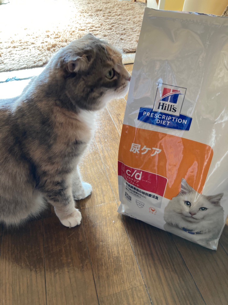 ヒルズ/猫 尿ケアc/dマルチケアコンフォート療法食フィッシュ2kg おまけ付き 楽天市場】【C】ヒルズ 猫用 尿ケア【c/d】 マルチケア