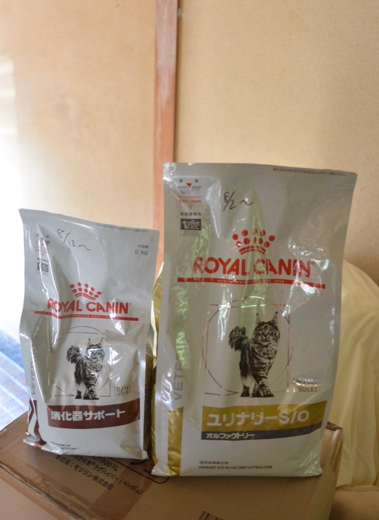 ロイヤルカナン 食事療法食 猫用 消化器サポート ドライ 2kg :RYCNVC6451:ドッグワールド - 通販 - Yahoo!ショッピング