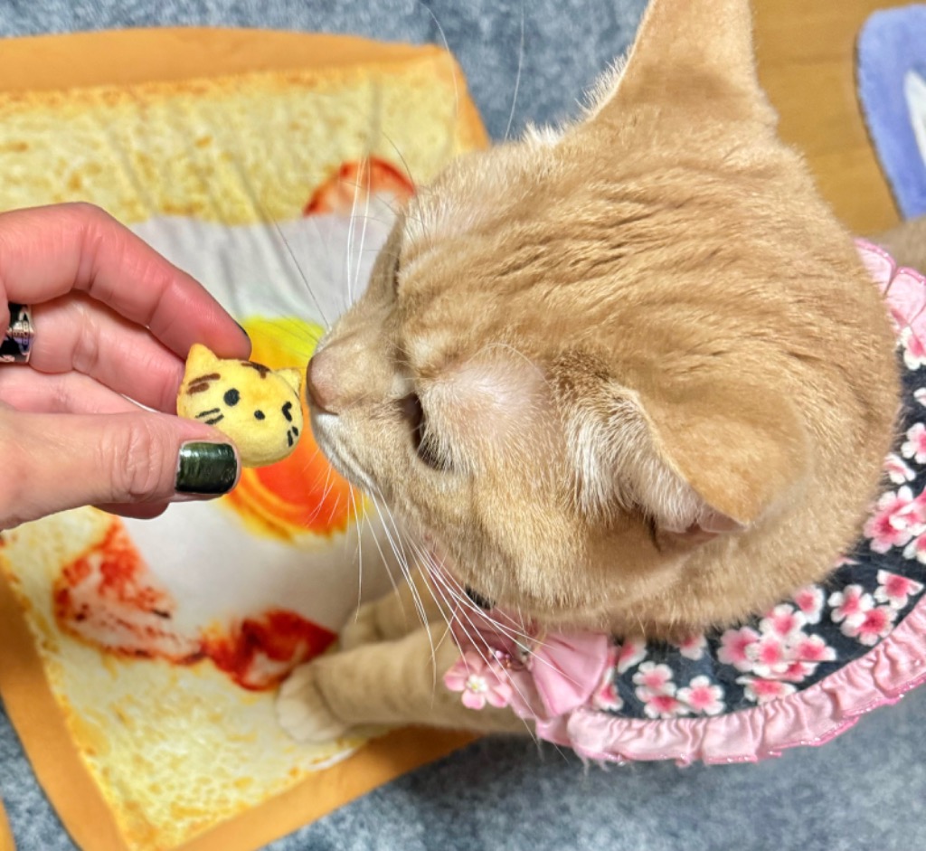 2件目のレビュー画像 | 0