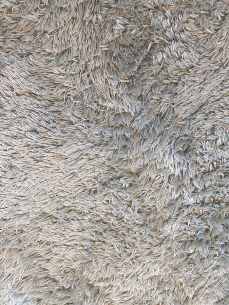 ラグ シャギーラグ rug 200×140 マイクロファイバーシャギー 北欧 Z4糸 ラグマット カーペット 洗える 冬用 夏用 モダンデコ