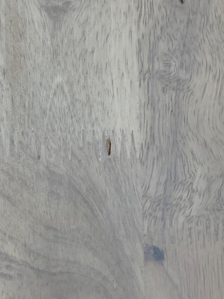 1件目のレビュー画像 | 1