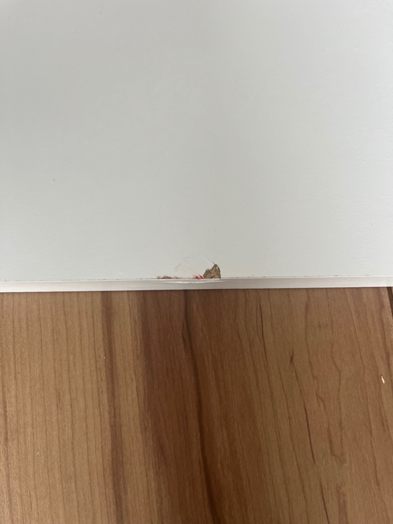 全体のレビュー画像 | 2-1